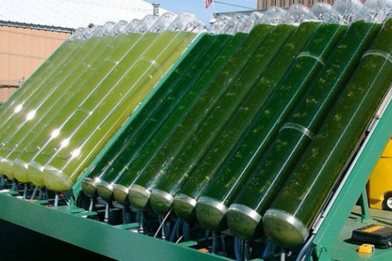 Процесс на производстве биодизельного топлива