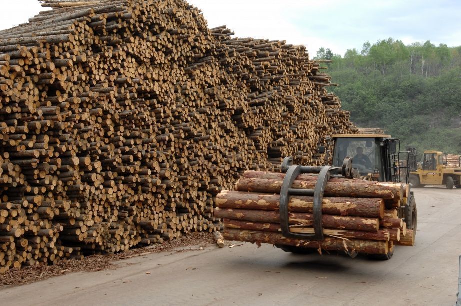 Топливо для лесозаготовительных комплексов в СПб
