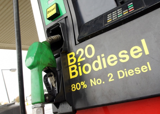 Биодизель - потенциональное топливо будущего